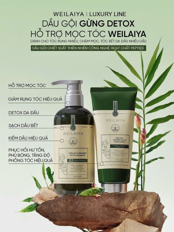 Dầu gội đầu gừng Weilaiya Detox giảm dầu nhờn, ngăn rụng tóc và thanh lọc da đầu