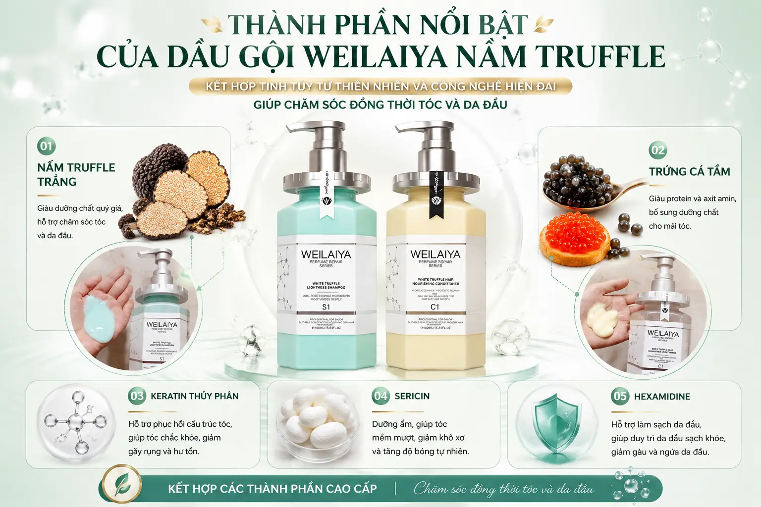 Infographic thành phần nổi bật của Dầu gội Weilaiya Nấm Truffle với Nấm Truffle trắng, Trứng cá tầm, Keratin, Sericin và Hexamidine.