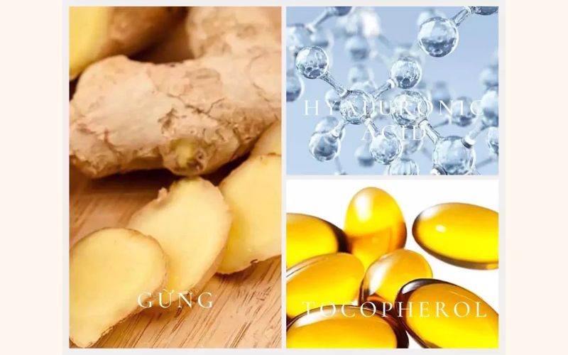  Thành phần dầu gội gừng Weilaiya chiết xuất gừng tươi và thảo mộc thiên nhiên