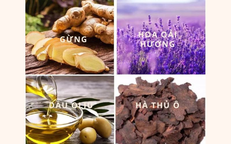 Thành phần dầu gội gừng hà thủ ô Weilaiya kết hợp thảo mộc dưỡng tóc đen mượt