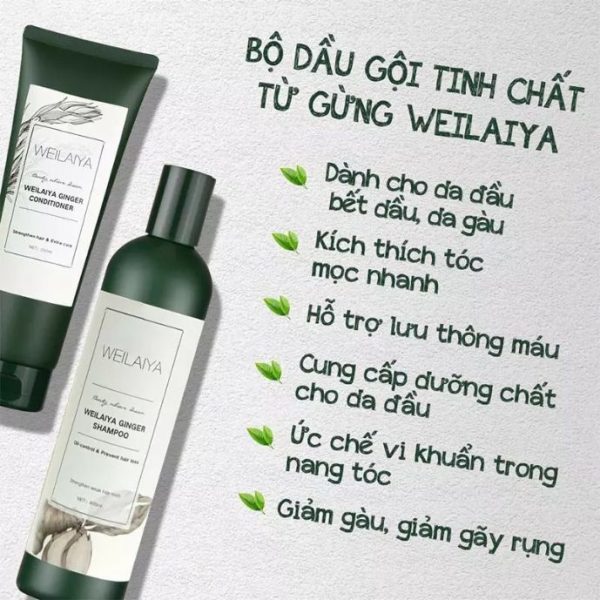 Công dụng dầu gội gừng Weilaiya cho mái tóc chắc khỏe