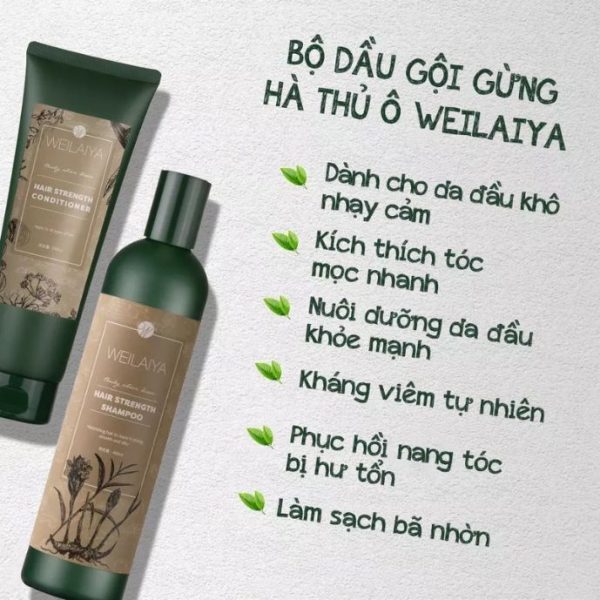 Công dụng dầu gội gừng hà thủ ô Weilaiya phục hồi tóc hư tổn