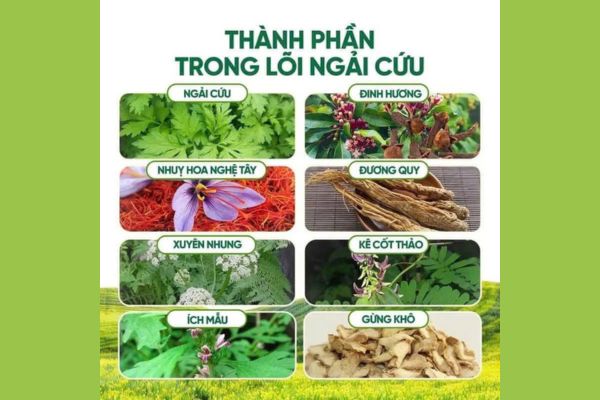 Thành phần thảo dược tự nhiên trong thảm ngải cứu đông y Happy Life gồm ngải cứu, gừng, quế chi, ích mẫu giúp tăng cường lưu thông khí huyết và giảm đau hiệu quả.