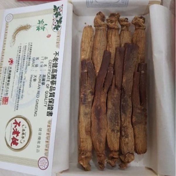 Củ sâm khô hàn quốc 6 năm tuổi của Hồng Sâm Hàn Quốc Deadong